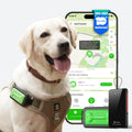 GlocalMe Global Pet GPS Tracker with Multi-Tech Location