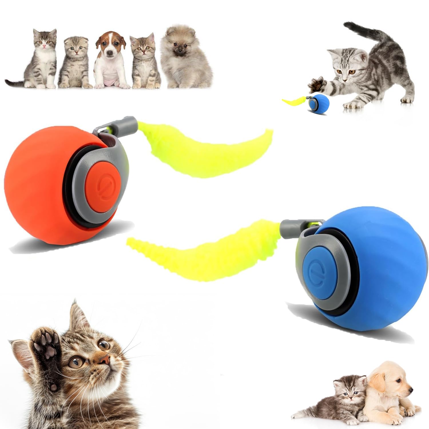 Dual-Speed Tail Cat Toy Set