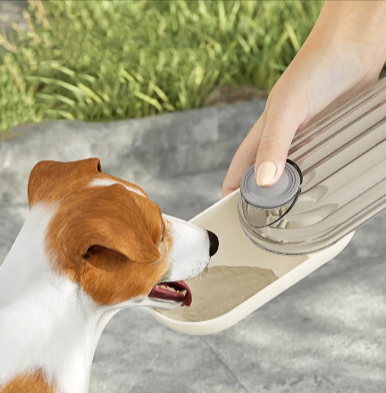 Dual Pet Feed & Hydrate Flask