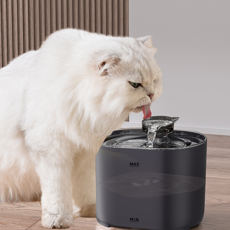 Feline Hydration Station