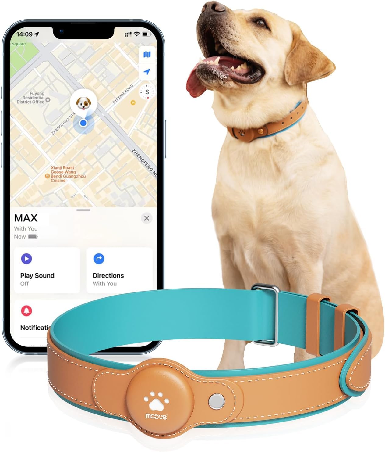 iOS Pet Locator Collar - No Fee GPS Dog Tracker